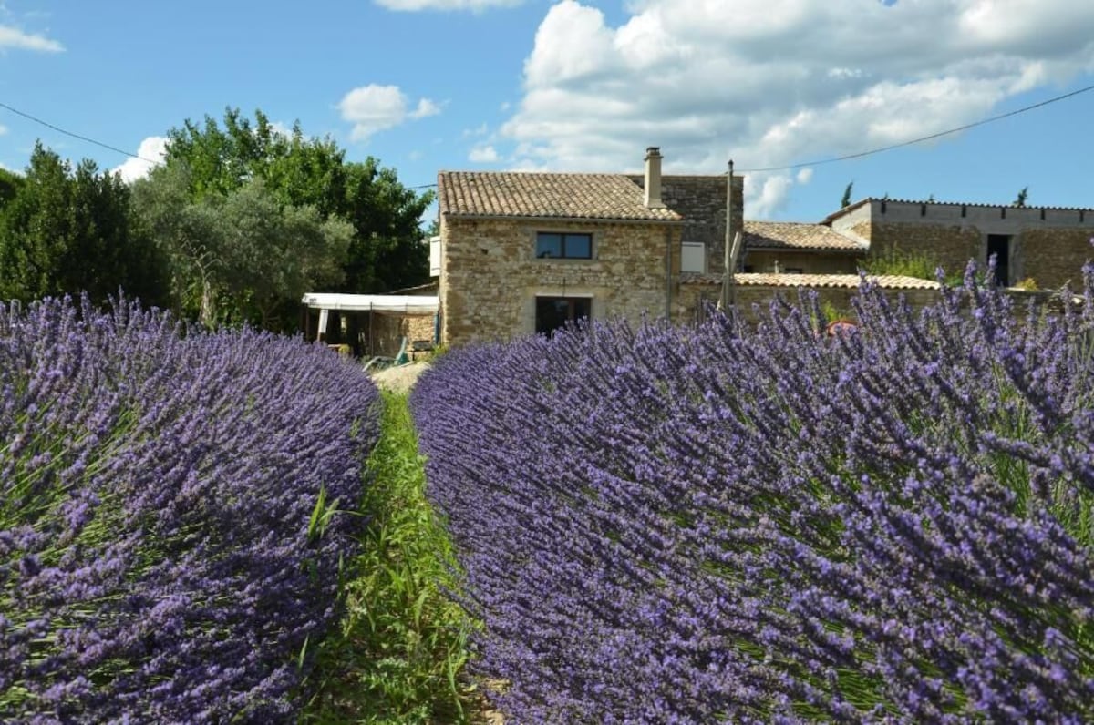 Mas de L'amme