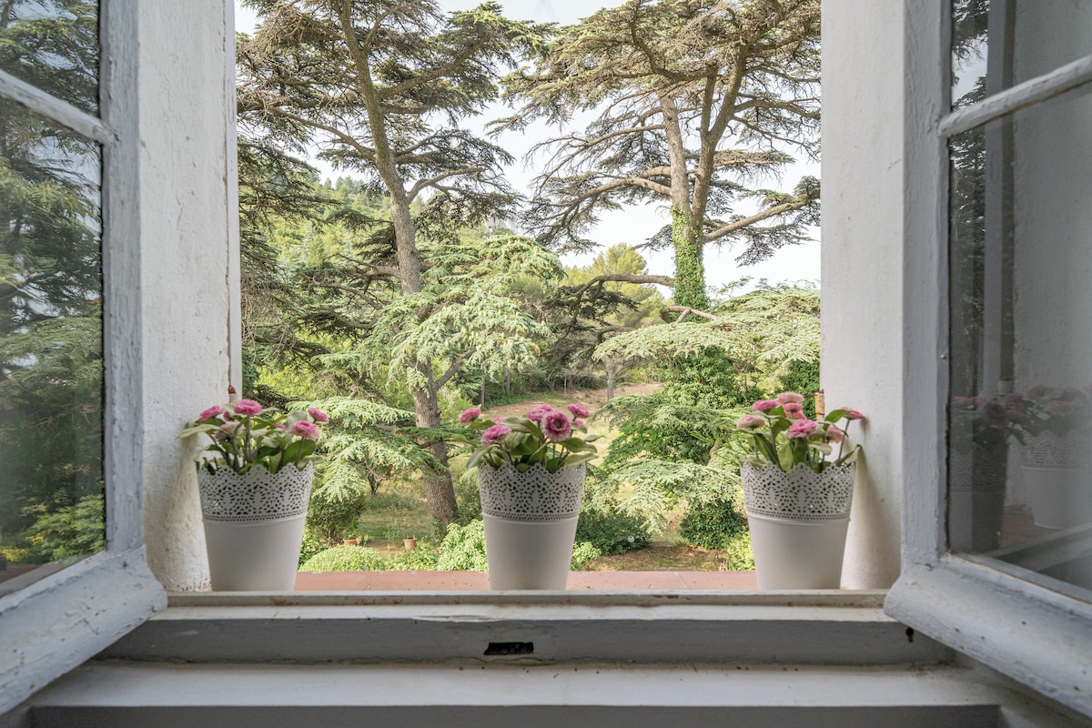 LA BASTIDE LE JAS 6