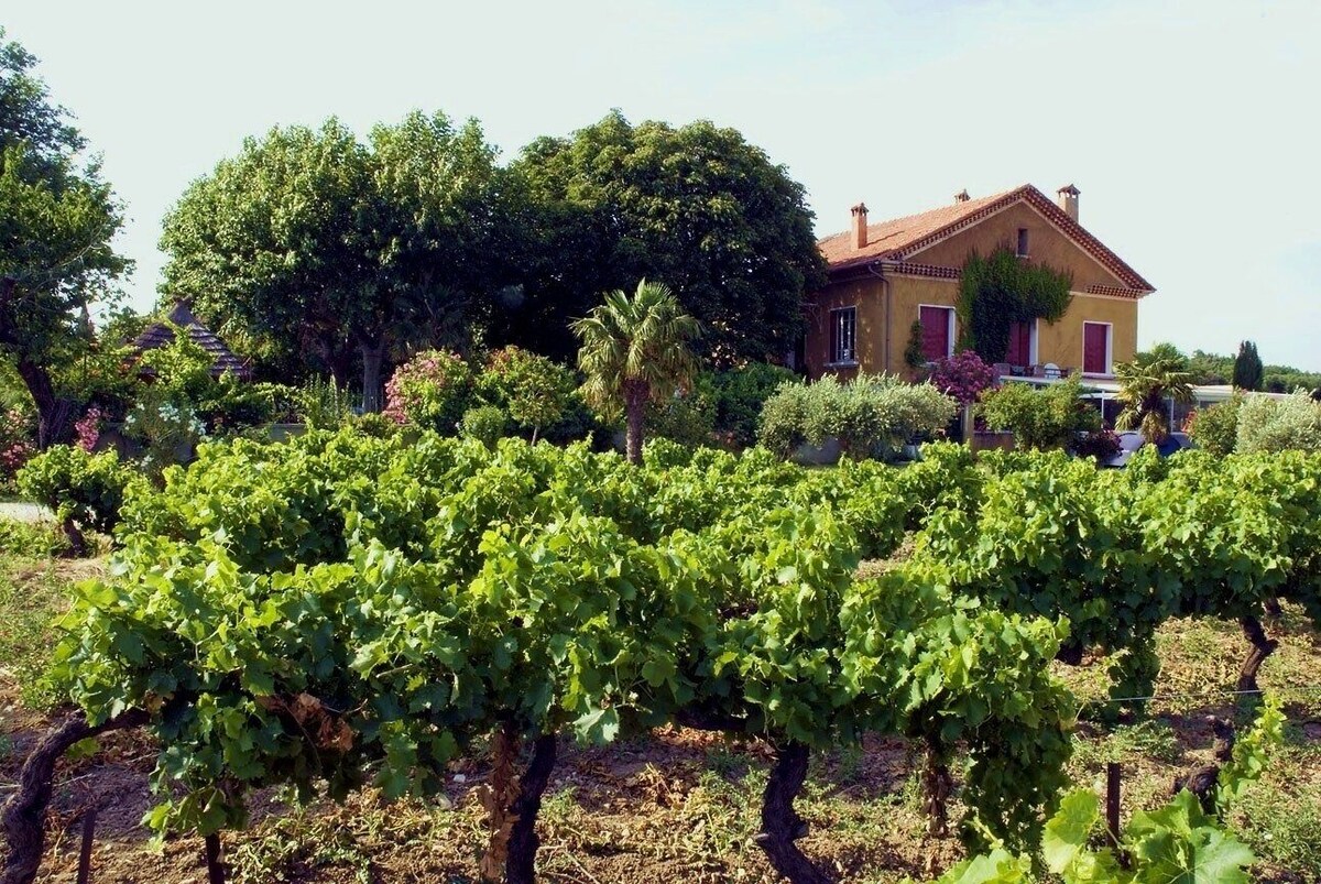 BEAU GITE EN PROVENCE ENTIEREMENT NEUF 60 M2 AU PIED DES DENTELLES DE MONTMIRAIL 5