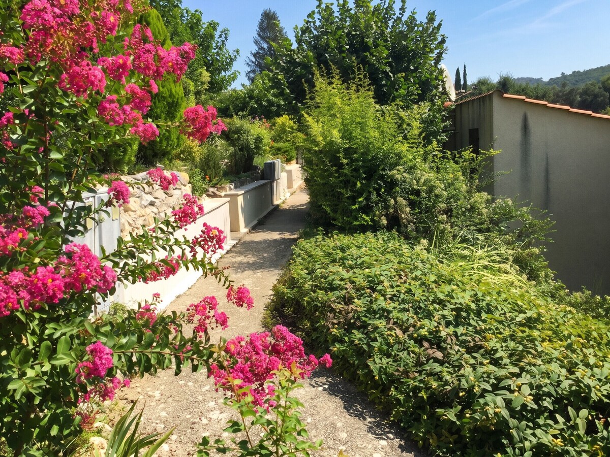 Homerez 2